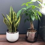 Keramični lonec Moon 08.104.15